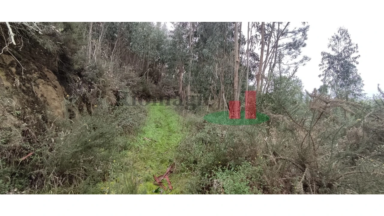 Terreno para Venda em Santa Catarina Foto 8