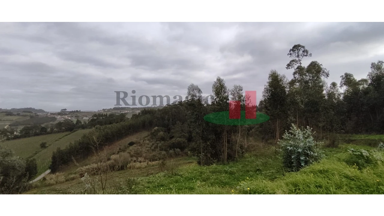 Terreno para Venda em Santa Catarina Foto 2