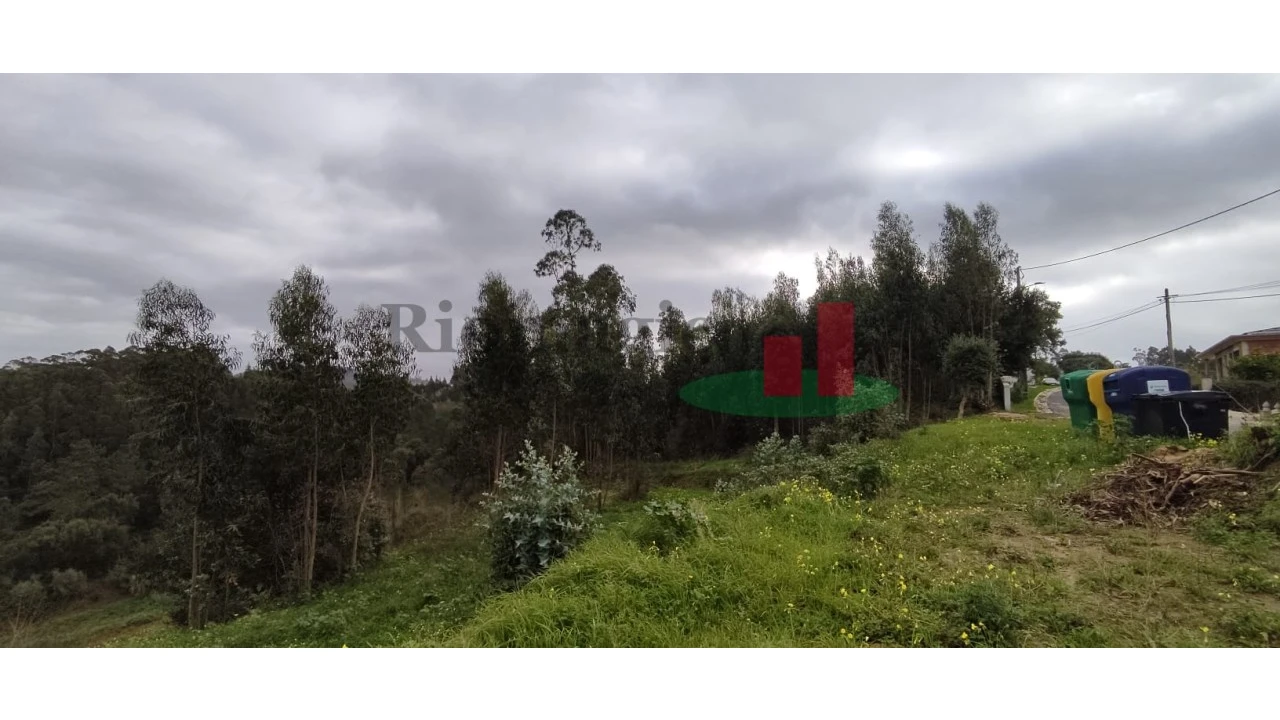 Terreno para Venda em Santa Catarina Foto 10