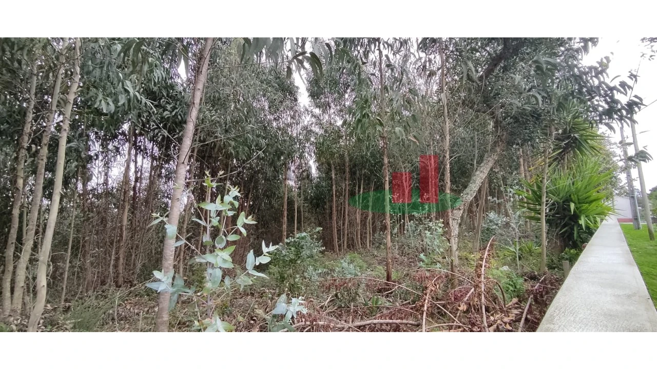 Terreno para Venda em Santa Catarina Foto 11