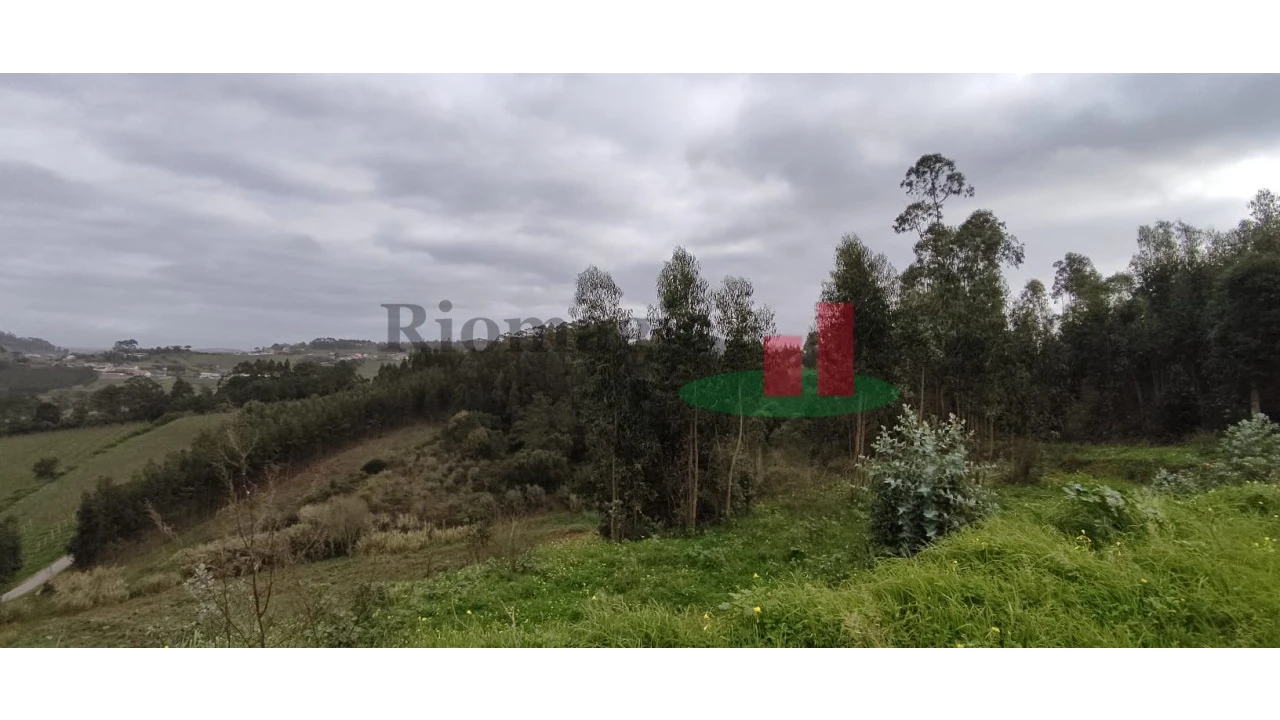 Terreno para Venda em Santa Catarina Foto 12