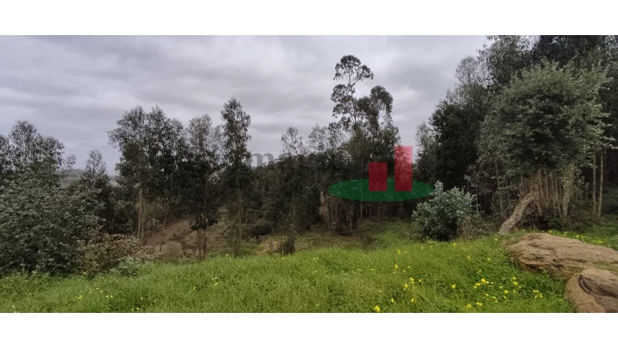Terreno para Venda em Santa Catarina Foto 5