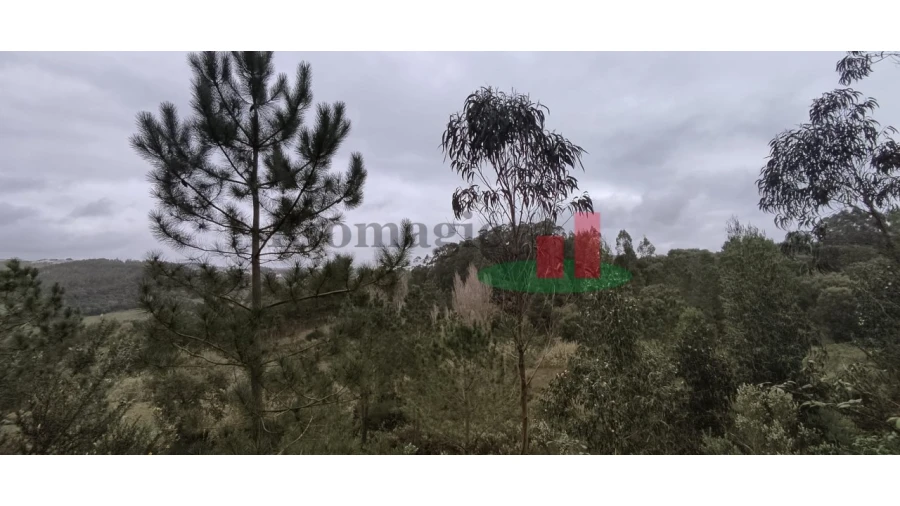 Terreno para Venda em Santa Catarina Foto 6