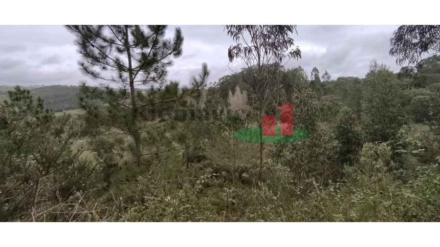 Terreno para Venda em Santa Catarina Foto 7