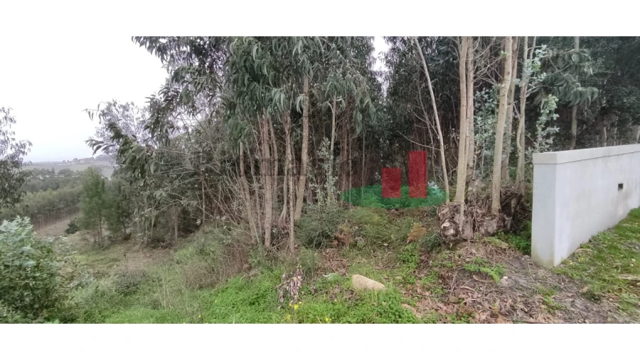 Terreno para Venda em Santa Catarina Foto 3