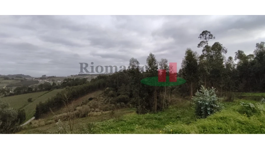 Terreno para Venda em Santa Catarina Foto 2