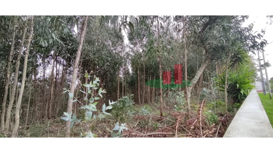 Terreno para Venda em Santa Catarina Foto 11