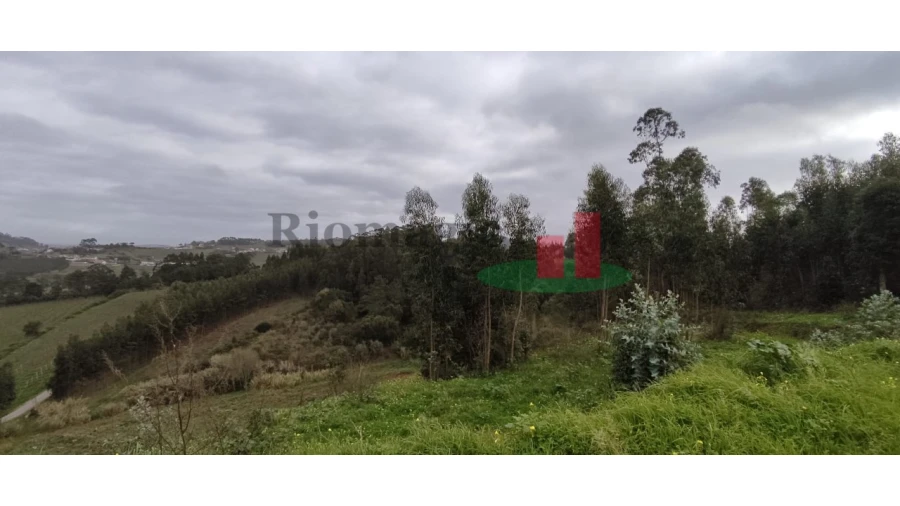 Terreno para Venda em Santa Catarina Foto 12