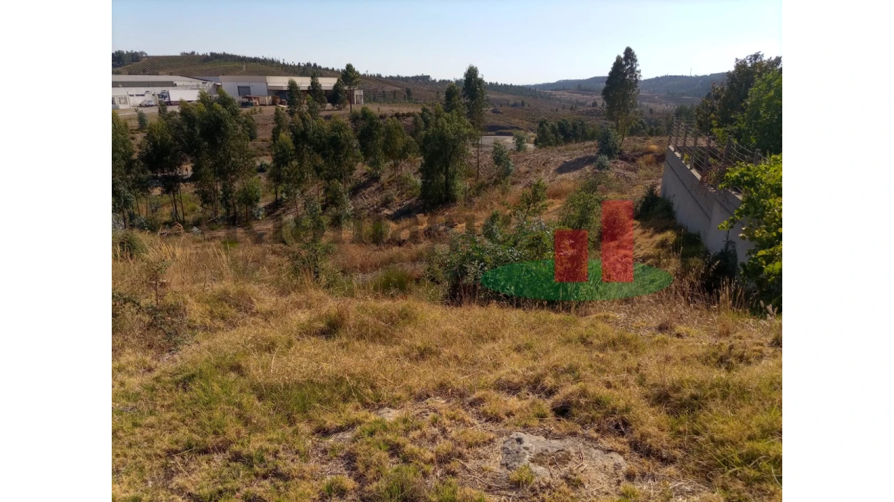 Terreno para Venda em Mação, Penhascoso e Aboboreira Foto 2