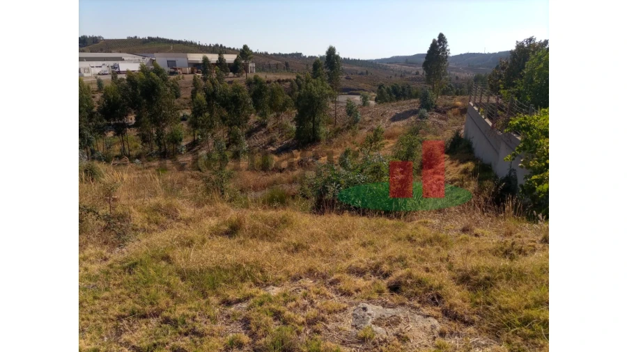 Terreno para Venda em Mação, Penhascoso e Aboboreira Foto 2
