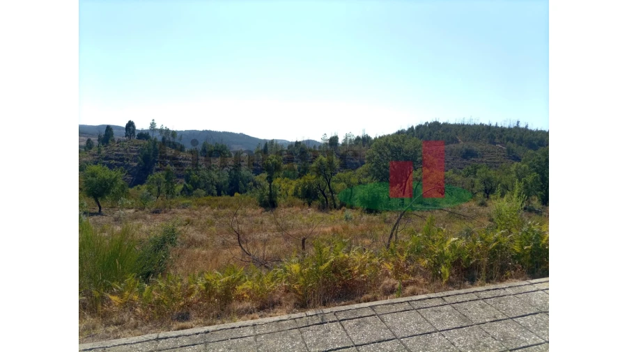 Terreno para Venda em Mação, Penhascoso e Aboboreira Foto 1
