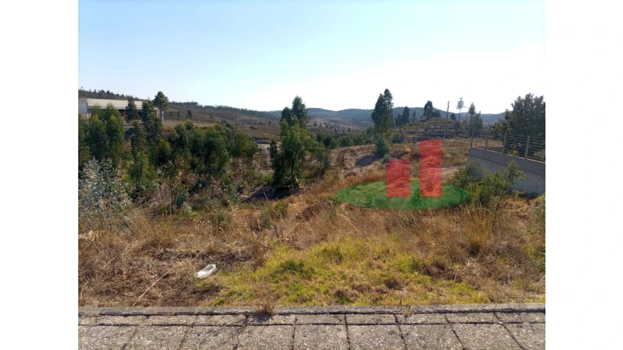 Terreno para Venda em Mação, Penhascoso e Aboboreira Foto 3