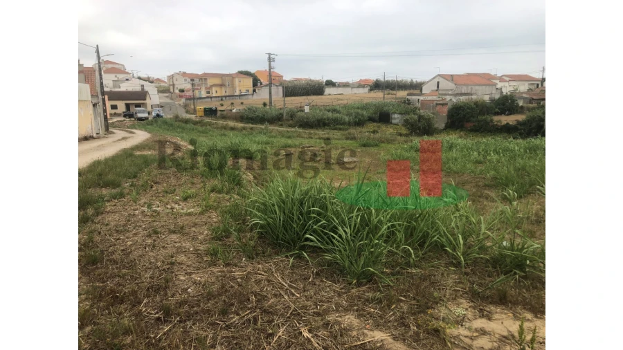 Terreno para Venda em Atouguia da Baleia Foto 8