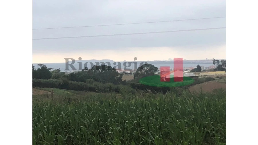 Terreno para Venda em Atouguia da Baleia Foto 1