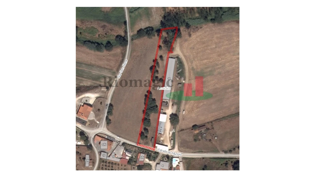 Terreno para Venda em Asseiceira Foto 3