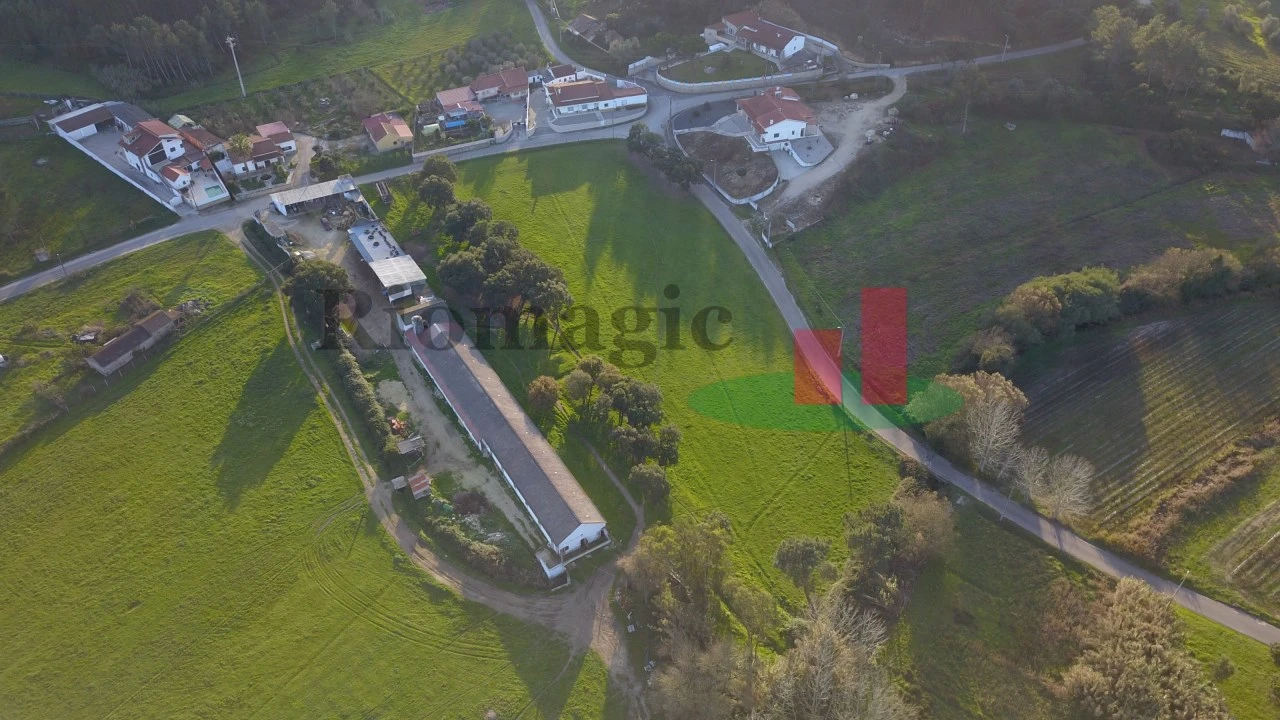 Terreno para Venda em Asseiceira Foto 10