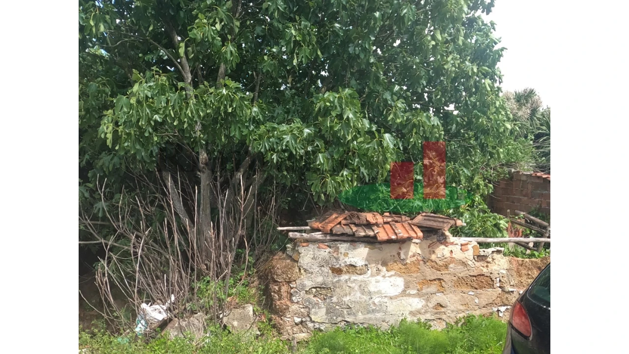 Moradia T3 para Venda em Alcobertas Foto 13