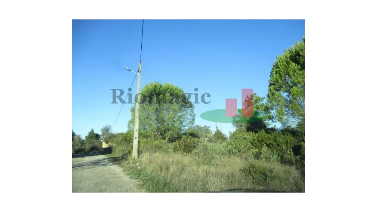 Terreno para Venda em São João Baptista e Santa Maria dos Olivais Foto 3