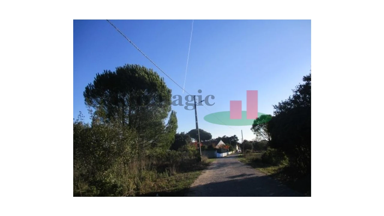 Terreno para Venda em São João Baptista e Santa Maria dos Olivais Foto 4