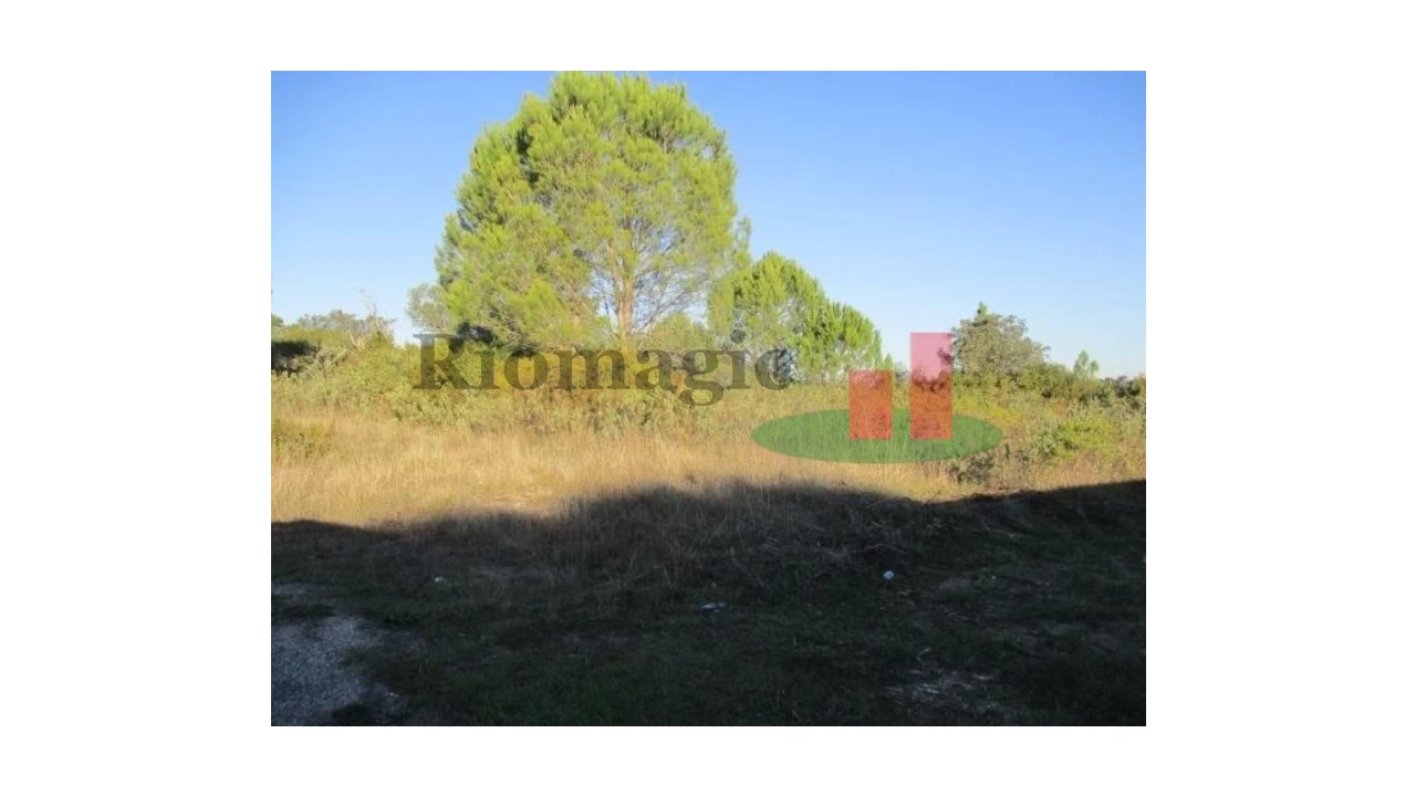 Terreno para Venda em São João Baptista e Santa Maria dos Olivais Foto 2