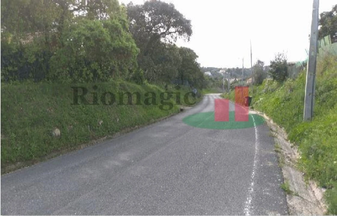 Terreno para Venda em São João Baptista e Santa Maria dos Olivais Foto 6