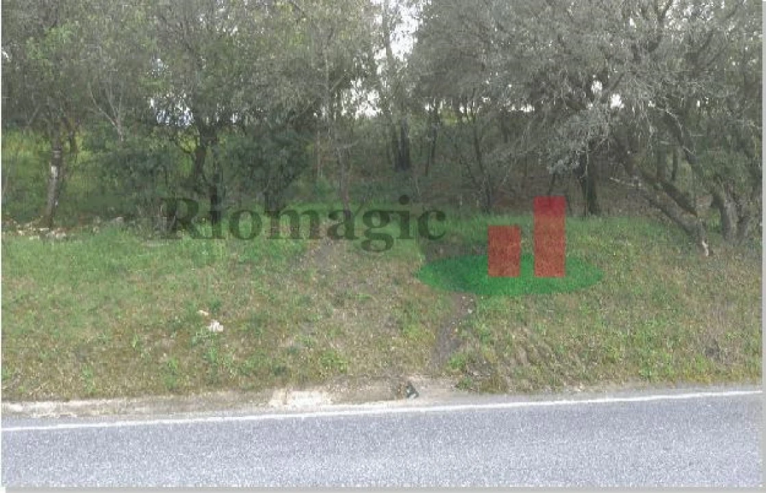 Terreno para Venda em São João Baptista e Santa Maria dos Olivais Foto 9
