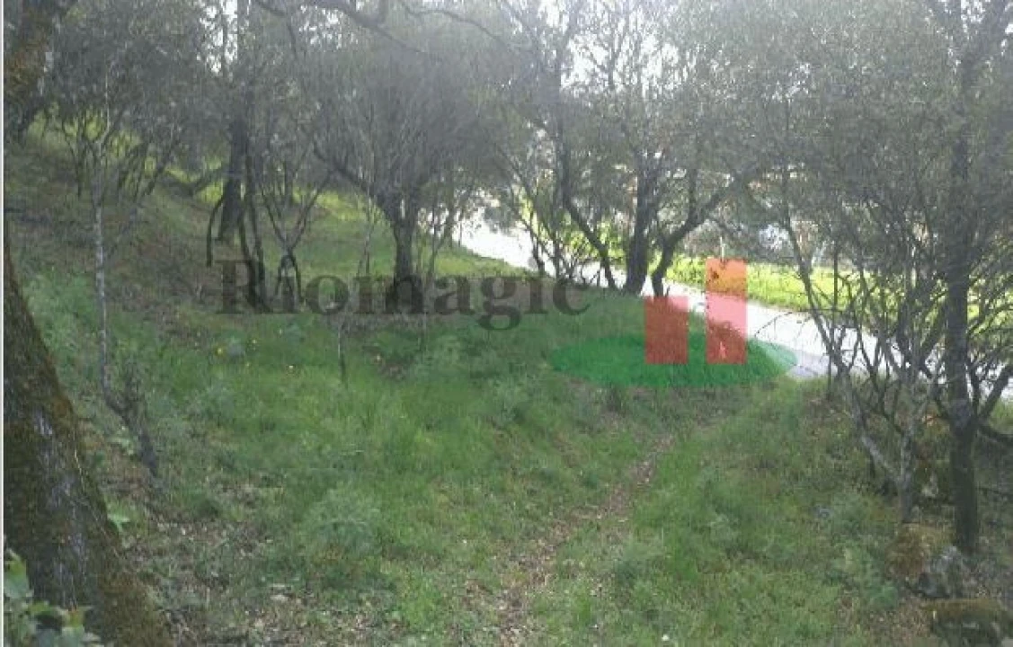 Terreno para Venda em São João Baptista e Santa Maria dos Olivais Foto 11