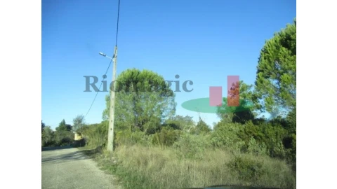 Terreno para Venda em São João Baptista e Santa Maria dos Olivais