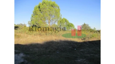 Terreno para Venda em São João Baptista e Santa Maria dos Olivais