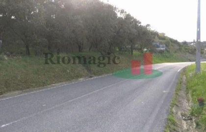 Terreno para Venda em São João Baptista e Santa Maria dos Olivais