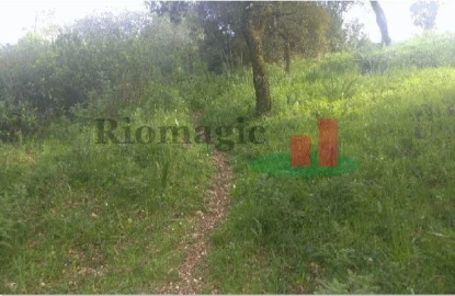 Terreno para Venda em São João Baptista e Santa Maria dos Olivais