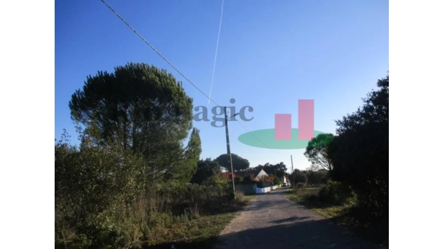 Terreno para Venda em São João Baptista e Santa Maria dos Olivais Foto 4