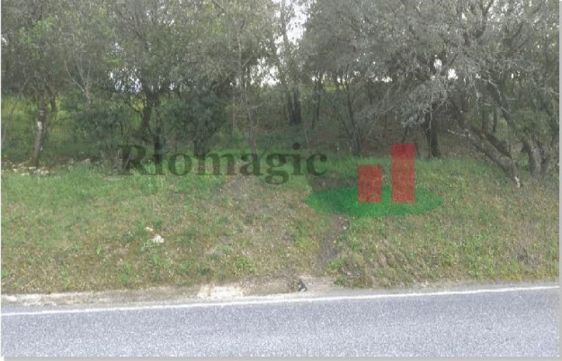 Terreno para Venda em São João Baptista e Santa Maria dos Olivais Foto 9