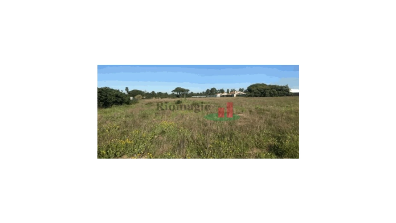 Terreno Agricola ou Rústico para Venda em Salvaterra de Magos e Foros de Salvaterra Foto 1