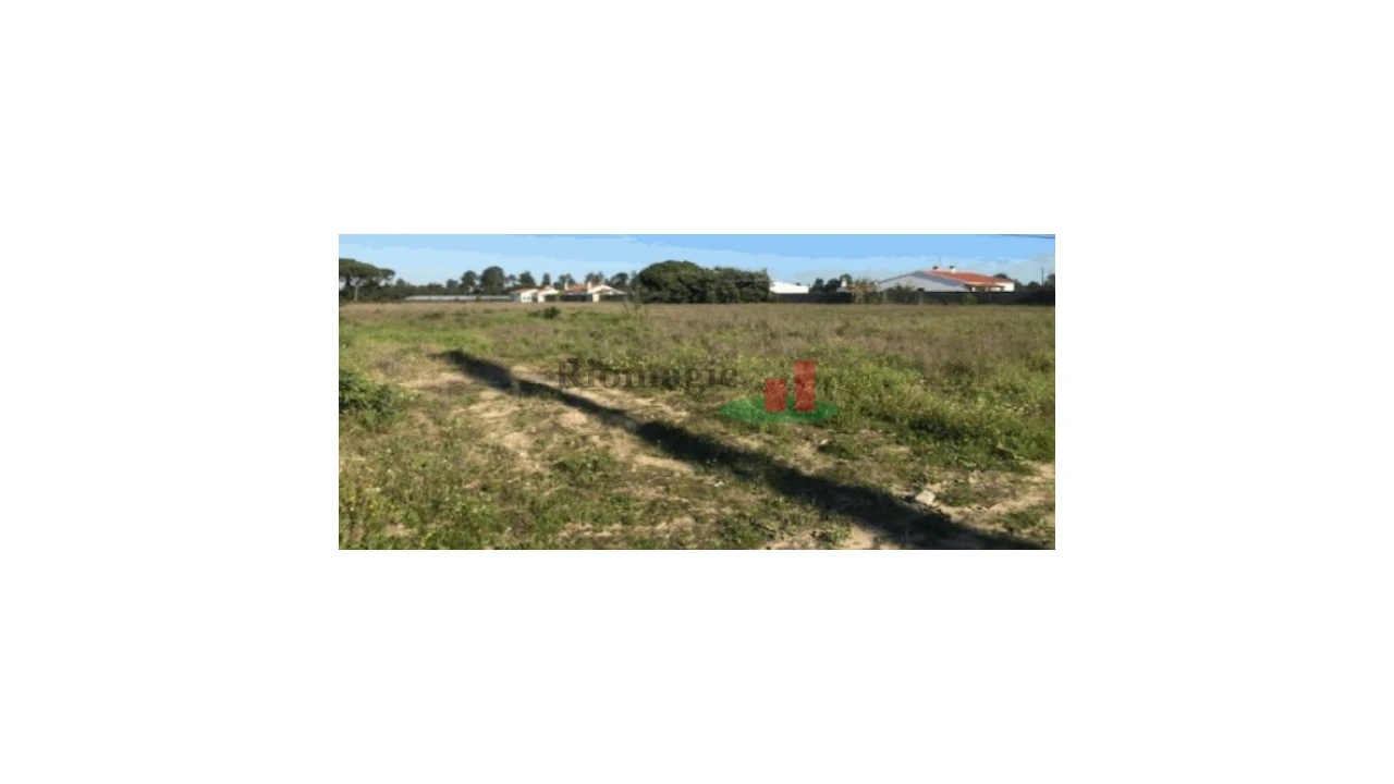 Terreno Agricola ou Rústico para Venda em Salvaterra de Magos e Foros de Salvaterra Foto 3