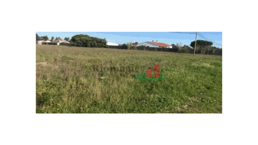 Terreno Agricola ou Rústico para Venda em Salvaterra de Magos e Foros de Salvaterra Foto 2