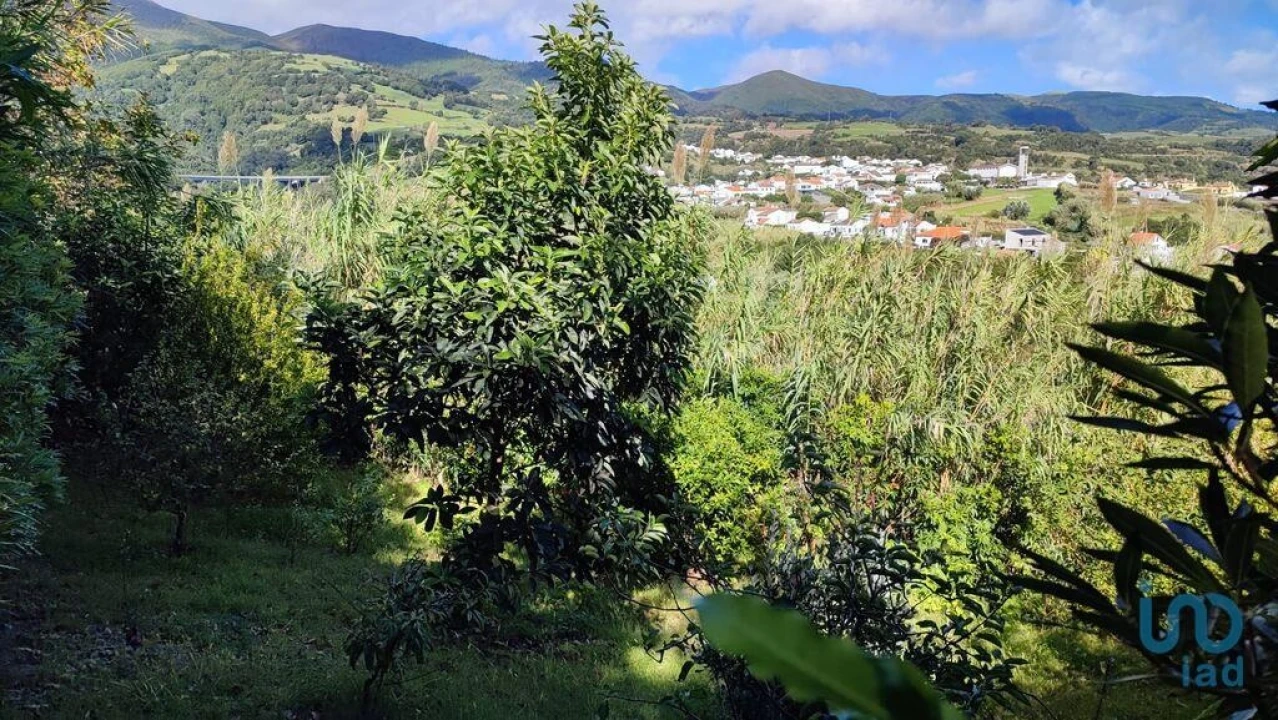 Terreno para Venda em Ribeira Chã Foto 11