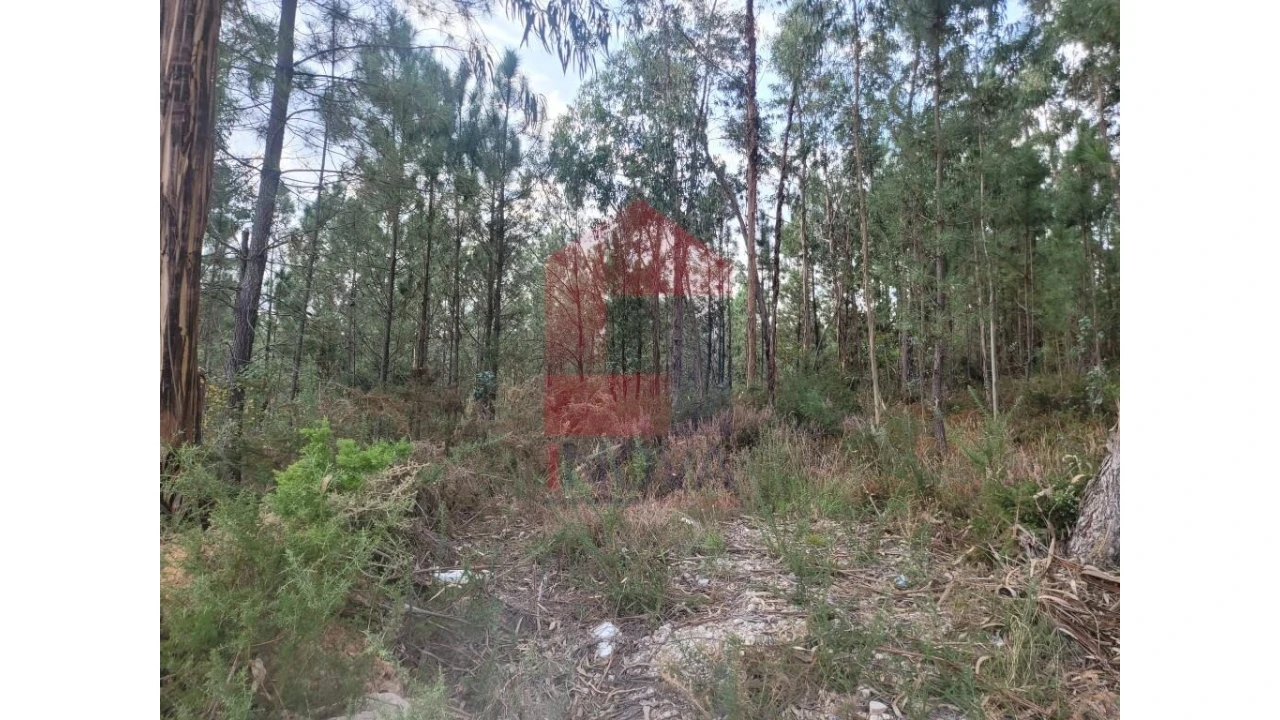 Terreno para Venda em Carreiras (São Miguel) e Carreiras (Santiago) Foto 17