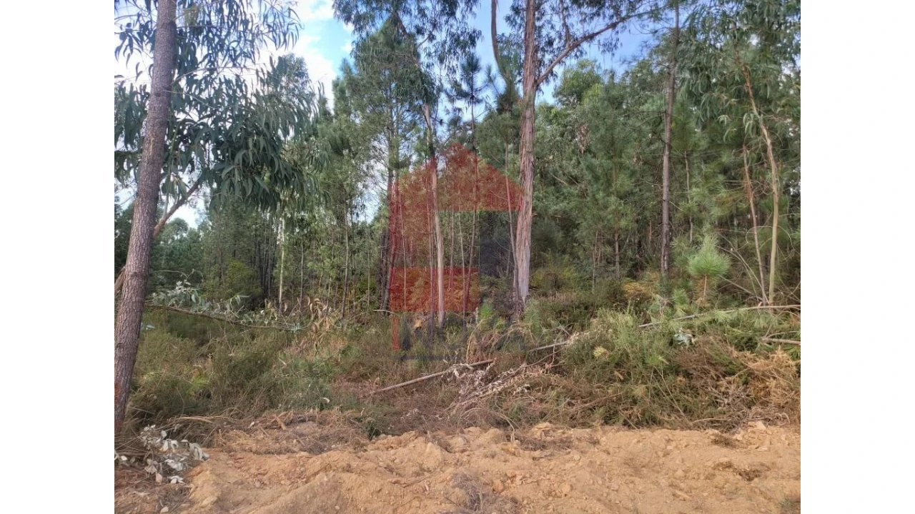 Terreno para Venda em Carreiras (São Miguel) e Carreiras (Santiago) Foto 6