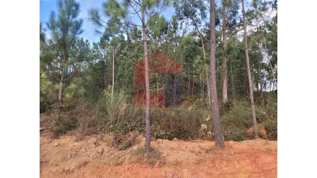 Terreno para Venda em Carreiras (São Miguel) e Carreiras (Santiago) Foto 8