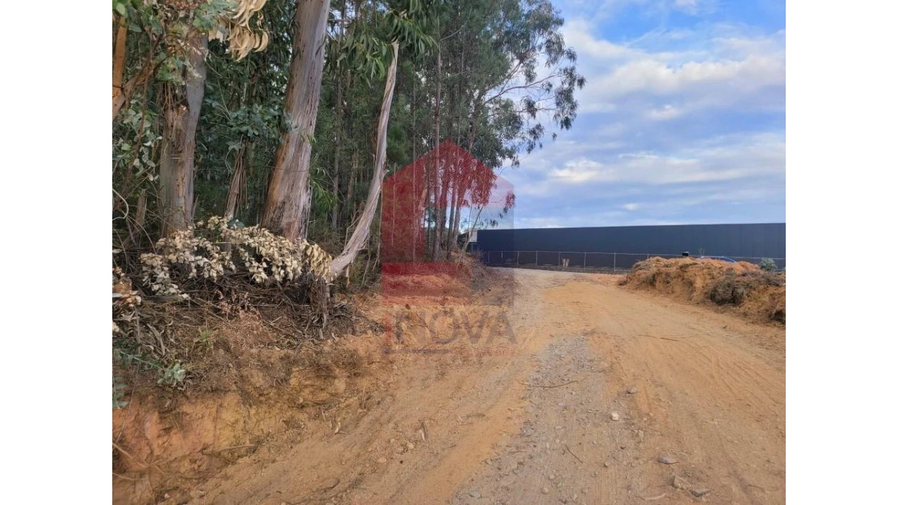 Terreno para Venda em Carreiras (São Miguel) e Carreiras (Santiago) Foto 19