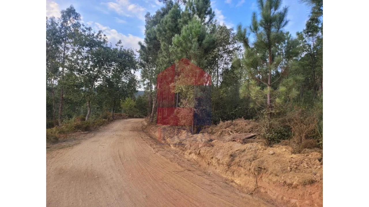 Terreno para Venda em Carreiras (São Miguel) e Carreiras (Santiago) Foto 20