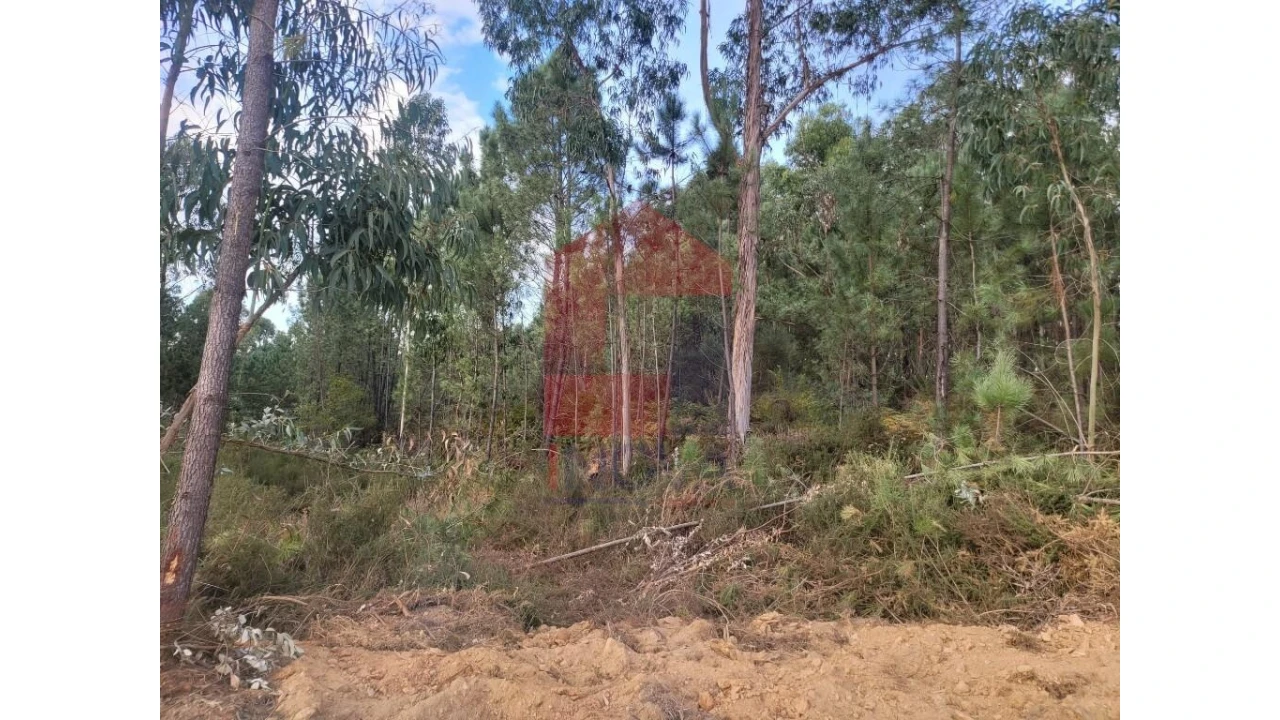 Terreno para Venda em Carreiras (São Miguel) e Carreiras (Santiago) Foto 2
