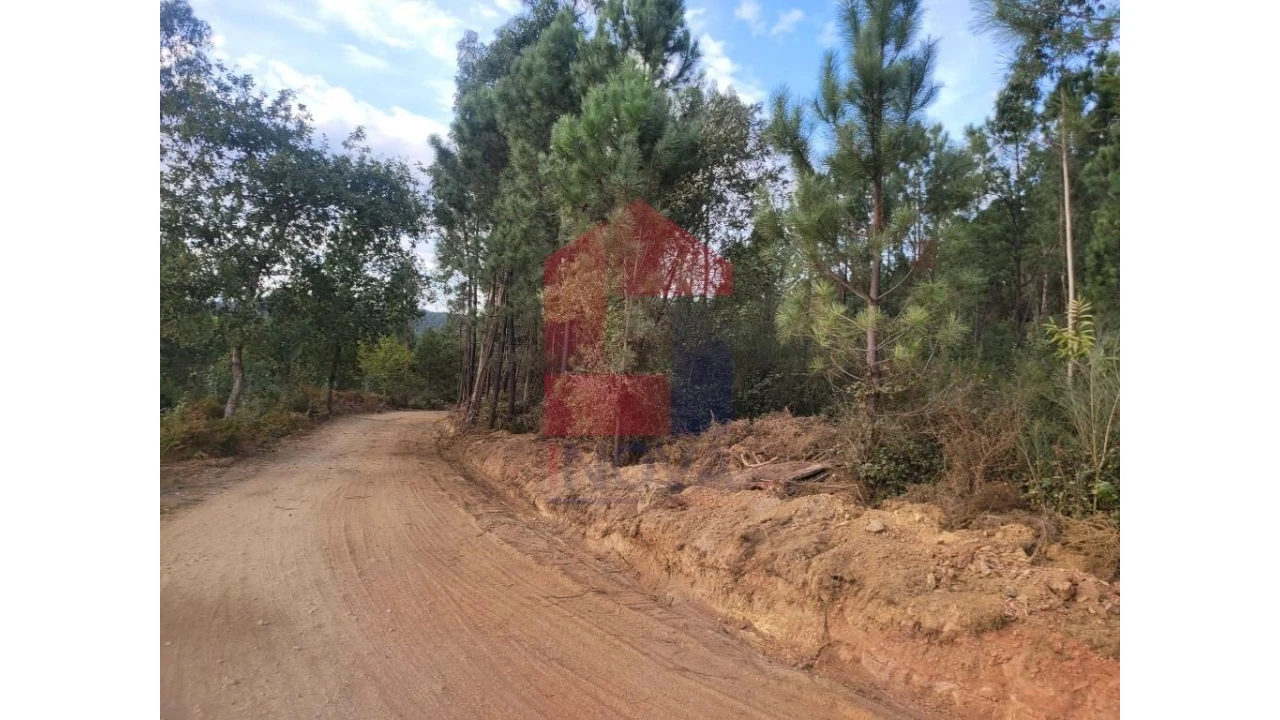 Terreno para Venda em Carreiras (São Miguel) e Carreiras (Santiago) Foto 10