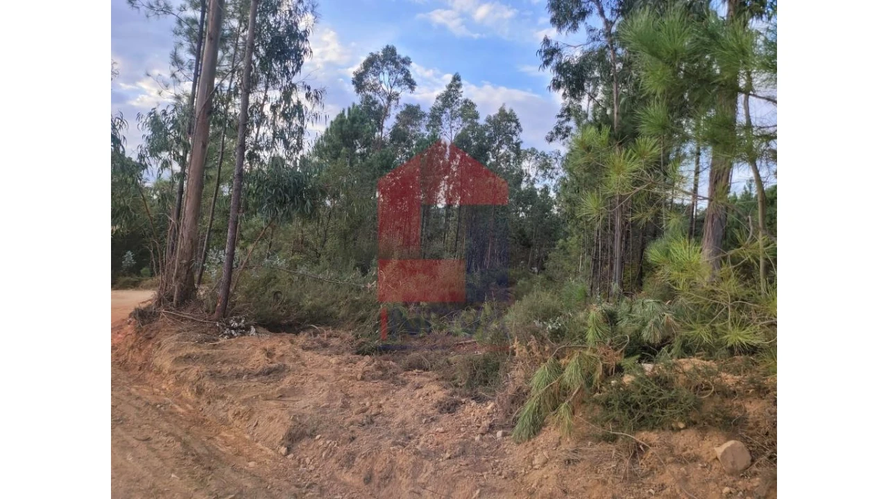 Terreno para Venda em Carreiras (São Miguel) e Carreiras (Santiago) Foto 12
