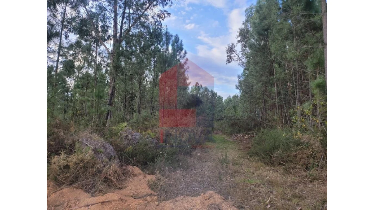 Terreno para Venda em Carreiras (São Miguel) e Carreiras (Santiago) Foto 14