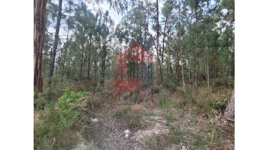 Terreno para Venda em Carreiras (São Miguel) e Carreiras (Santiago) Foto 17
