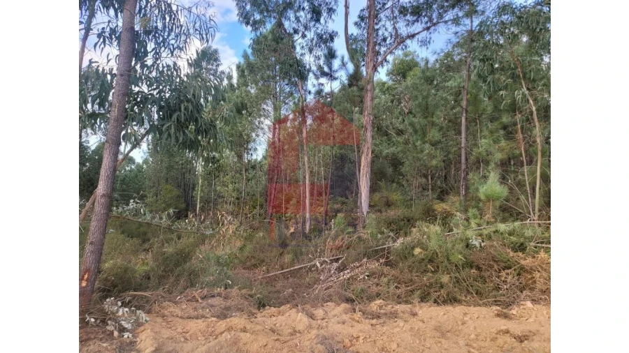 Terreno para Venda em Carreiras (São Miguel) e Carreiras (Santiago) Foto 2
