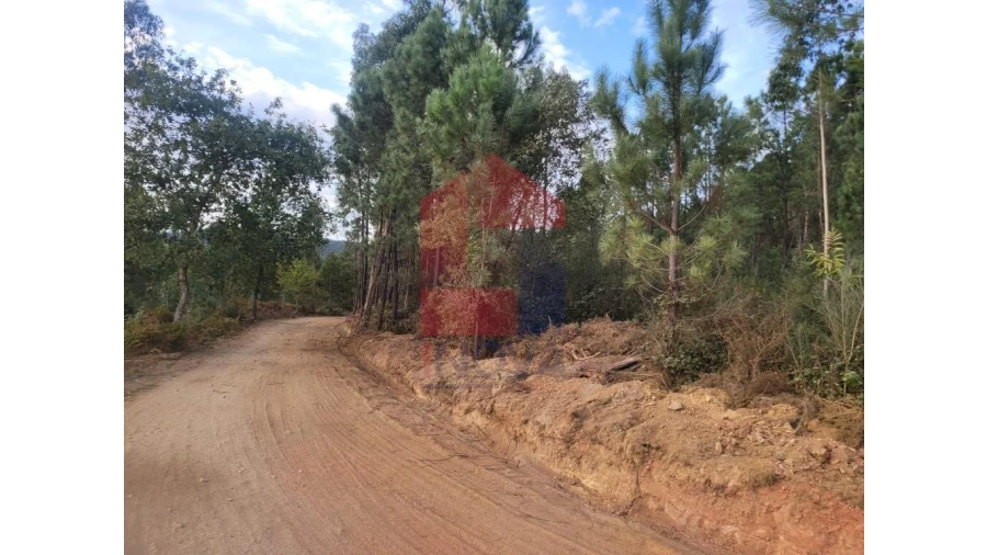 Terreno para Venda em Carreiras (São Miguel) e Carreiras (Santiago) Foto 10