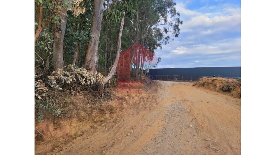 Terreno para Venda em Carreiras (São Miguel) e Carreiras (Santiago) Foto 13